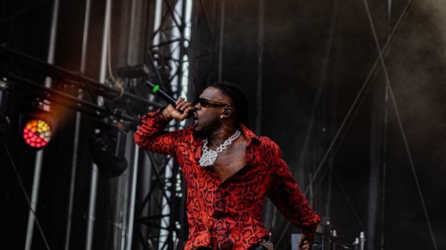 Concert de Jok'air à Pagaille Festival - Bordeaux, photo 13 par Mattia Parrinello